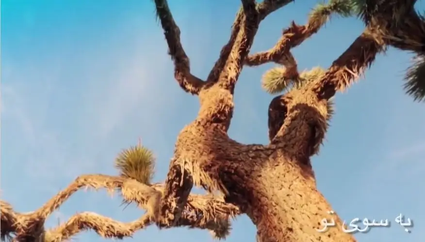 به سوی تو داریوش رفیعی